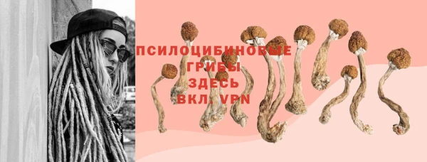 прущие крисы Алексин