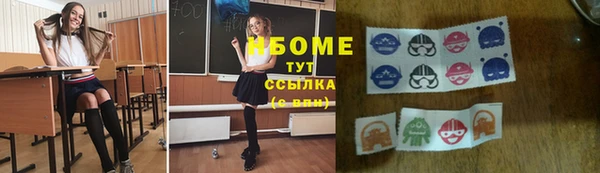 apvp Алзамай