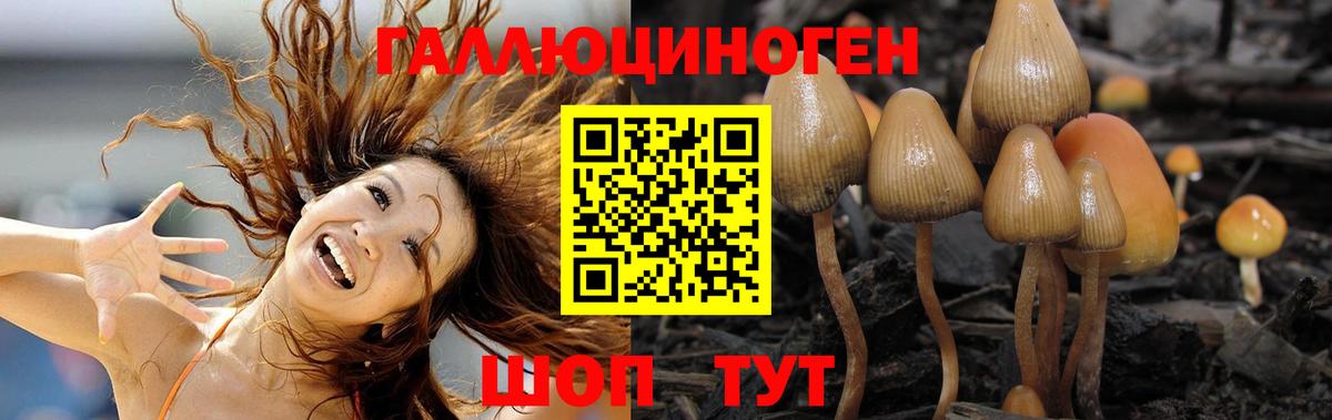 Галлюциногенные грибы мицелий  Галлюциногенные грибы ЛСД  Вход с VPN  Тосно 